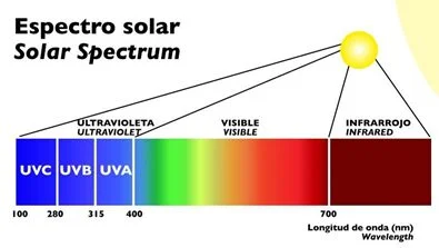 terrario-luz-iluminacion.jpg
