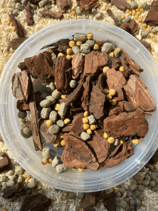 exotics veterinaria picaje aves